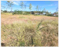  2023Ÿ��36778  ����