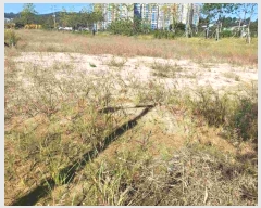  2023Ÿ��36778  ����