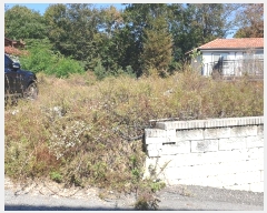  2023Ÿ4757  õ  븮 290-6      (Ӿ)