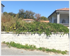  2023Ÿ4757  õ  븮 290-6      (Ӿ)