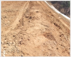  2023Ÿ1284    ȣ 1041-69      (1)