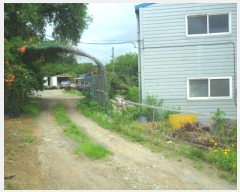  2023Ÿ2570  ý 絿 161       