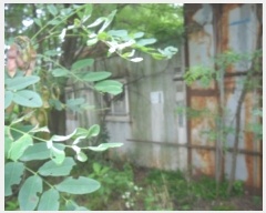  2023Ÿ2570  ý 絿 161       