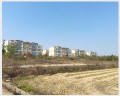  2023Ÿ3931  ý ؼ  163-21      (1)