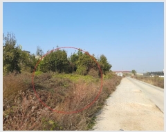  2023Ÿ3931  ý ؼ  163-21      (1)