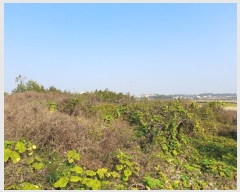  2023Ÿ3931  ý ؼ  163-21      (1)