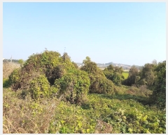  2023Ÿ3931  ý ؼ  163-21      (1)