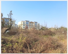  2023Ÿ3931  ý ؼ  163-21      (1)