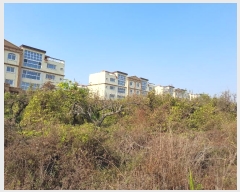  2023Ÿ3931  ý ؼ  163-21      (1)