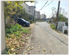  2023Ÿ3931  ý ؼ  163-21      (1)