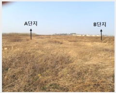  2023Ÿ4149  ý ؼ θ 43-1      (Ӿ)