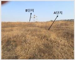  2023Ÿ4149  ý ؼ θ 43-1      (Ӿ)