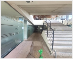  2023Ÿ��4194  �������