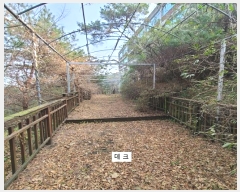  2023Ÿ��4194  �������