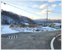  2023Ÿ��4767 ��� �ȼ��� ���׸� ���̸� 107-5      ����(��1)���