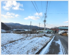  2023Ÿ��4767 ��� �ȼ��� ���׸� ���̸� 107-5      ����(��1)���