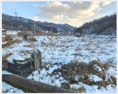  2023Ÿ��4767 ��� �ȼ��� ���׸� ���̸� 107-5      ����(��1)���