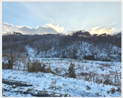  2023Ÿ��4767 ��� �ȼ��� ���׸� ���̸� 107-5      ����(��1)���