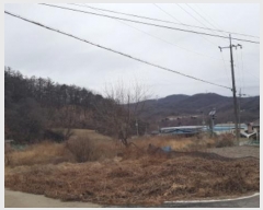  2023Ÿ��4767 ��� �ȼ��� ���׸� ���̸� 107-5      ����(��1)���