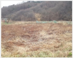  2023Ÿ��4767 ��� �ȼ��� ���׸� ���̸� 107-5      ����(��1)���