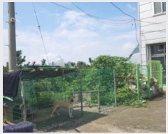  2023Ÿ��47641 ��� �ȼ��� ���⵿ 250-1       ��,�繫�ǰ��