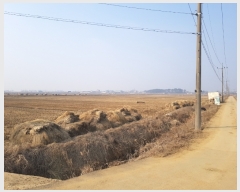  2023Ÿ��499 ��� ���ý� ������ ����� 67-2      ����(��)���