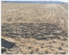  2023Ÿ��499 ��� ���ý� ������ ����� 67-2      ����(��)���