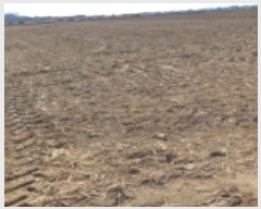  2023Ÿ��499 ��� ���ý� ������ ����� 67-2      ����(��)���