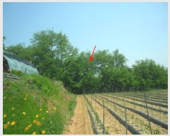  2023Ÿ��1812 ��� ���ý� ������ ���ฮ 534      ����(��1)���