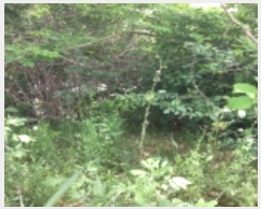  2023Ÿ��1812 ��� ���ý� ������ ���ฮ 534      ����(��1)���