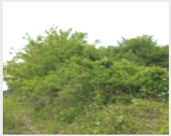  2023Ÿ��1812 ��� ���ý� ������ ���ฮ 534      ����(��1)���