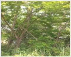  2023Ÿ��1812 ��� ���ý� ������ ���ฮ 534      ����(��1)���