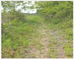  2023Ÿ��1812 ��� ���ý� ������ ���ฮ 534      ����(��1)���