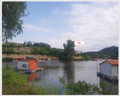  2023Ÿ��44147 ��� �ȼ��� ����� ������ ��41-12      ����(�Ӿ�)���