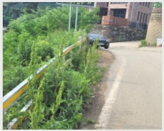  2023Ÿ��44147 ��� �ȼ��� ����� ������ ��41-12      ����(�Ӿ�)���