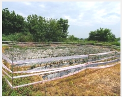  2023Ÿ��44505  �Ӿ߰��