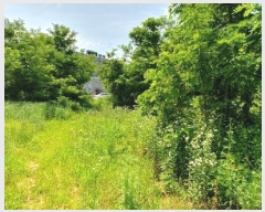  2023Ÿ��44505  �Ӿ߰��