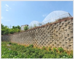  2023Ÿ��44505  �Ӿ߰��