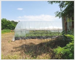  2023Ÿ��44505  �Ӿ߰��