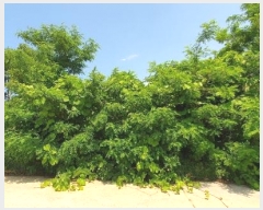  2023Ÿ��44505  �Ӿ߰��