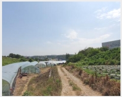  2023Ÿ��44505  �Ӿ߰��