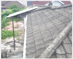  2023Ÿ��45393 ��� �ȼ��� �����1�� 32       ���ð��