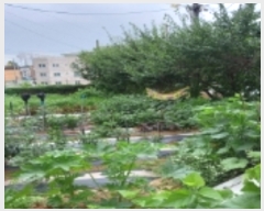  2023Ÿ��45706 ��� ���ý� �ؼ��� ���縮 66-14      ����(����)���