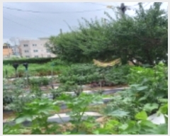  2023Ÿ��45706 ��� ���ý� �ؼ��� ���縮 66-14      ����(����)���