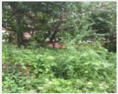  2023Ÿ��45706 ��� ���ý� �ؼ��� ���縮 66-14      ����(����)���