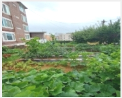  2023Ÿ��45706 ��� ���ý� �ؼ��� ���縮 66-14      ����(����)���