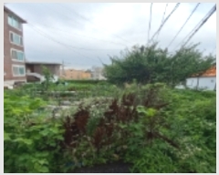  2023Ÿ��45706 ��� ���ý� �ؼ��� ���縮 66-14      ����(����)���