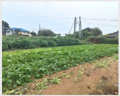  2023Ÿ��48309 ��� �ȼ��� �̾�� ��θ� 122-3      ����(����)���