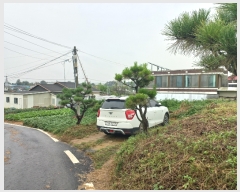  2023Ÿ��48309 ��� �ȼ��� �̾�� ��θ� 122-3      ����(����)���