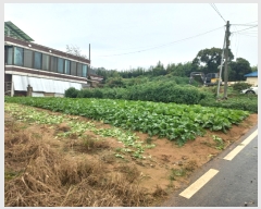  2023Ÿ��48309 ��� �ȼ��� �̾�� ��θ� 122-3      ����(����)���